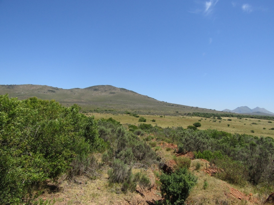 0 Bedroom Property for Sale in Humansdorp Rural Eastern Cape